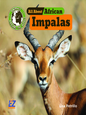 cover image of All About African Impalas